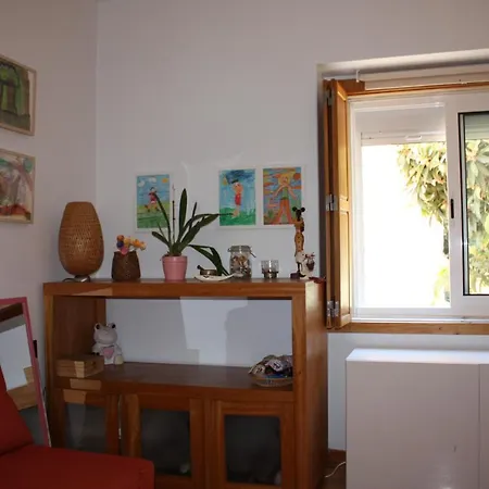 Tree House Apartment