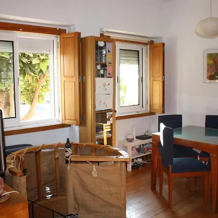 Tree House Apartment